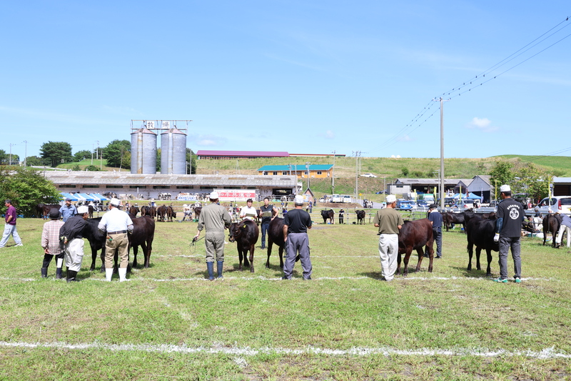 20250911_畜産まつり1