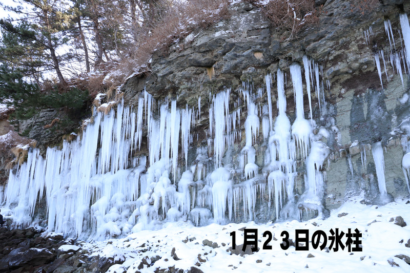 20260129_氷柱１
